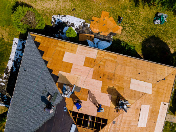 Best Roof Gutter Cleaning  in East Uniontown, PA